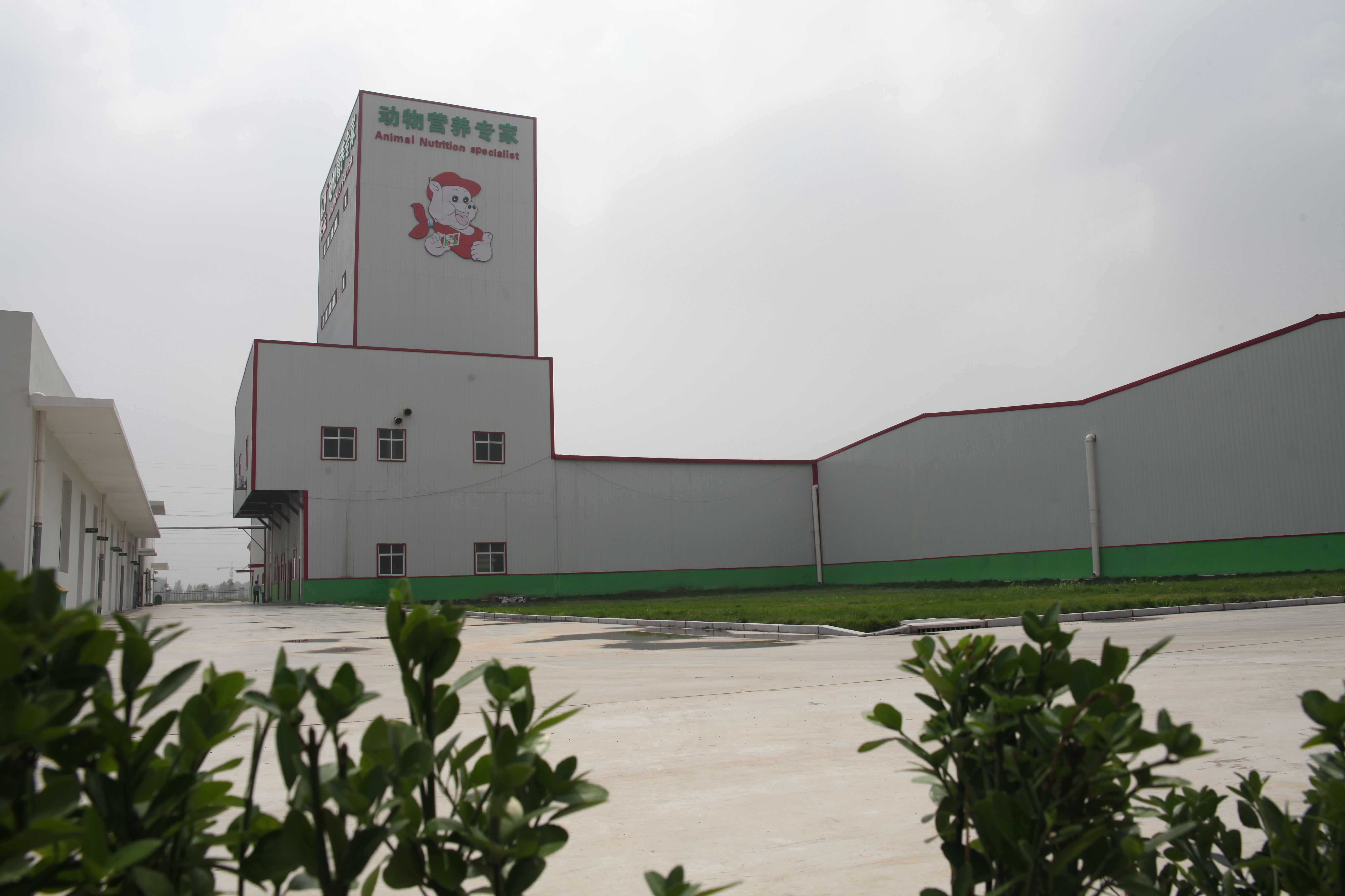 安佑生物科技集團股份 技術(shù)咨詢引領(lǐng)產(chǎn)業(yè)創(chuàng)新之路